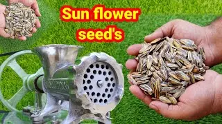 EXPERIMENT Meat Grinder Vs Sunflower Seeds || Grinding Seeds