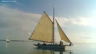 Maldon Regatta race 27/9/25 onboard Mayfly sailing smack. Get second position overall.