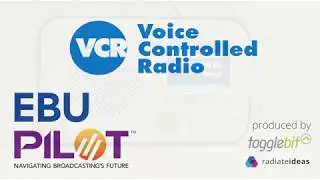 Voice Controlled Radio