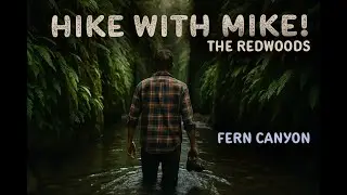🥾 Hike with Mike! Fern Canyon Trail 🌿 | Redwoods Jurassic Park Hike in 4K