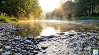 Deep Forest and Water Flow 🌿 Relaxing Sounds for Focus & Calm