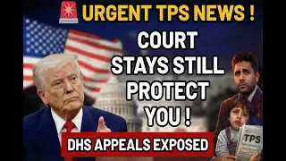 🚨 URGENT TPS NEWS: Court Stays Protect Status Holders Amid DHS Appeals