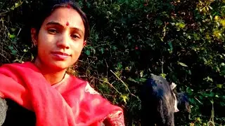 लकडी़ के साथ घास भी लाया // पर किसके लिए //pahadi lifestyle vlog //Aditi D VLOG