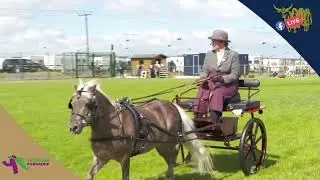 D3 S7 RHS YOUNG FARMER LUCY MCCLYMONT  - PRIVATE DRIVING (PLEASURE) AT THE ROYAL HIGHLAND SHOW