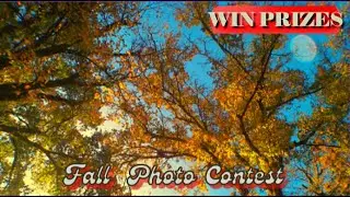 ASMR Sleep Sounds: Crunchy Leaves & Creek for Deep Relaxation (Fall Photo Contest)