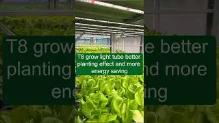 How to save energy in your indoor farming ?