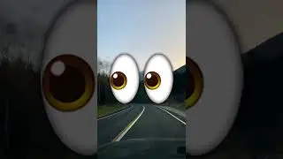 EINE RIESEN SPINNE WURDE GEFUNDEN 🕷️😱 #shorts