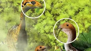 Limusaurus: O Dinossauro Em Que os Filhotes Eram 