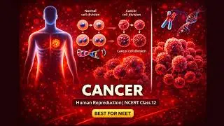 CBSE Class 12 Biology || Cancer