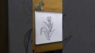🌷🌷🌷 #art #kaligrafiklasik #trendingshorts #drawing #iklim #painting #calligrphylearning #artist