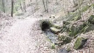 Dark Unterwegs  ab Dresden Pillnitz durch den Friedrichgrund zur Meixm&uuml;hle (rechtsseits der Elbe)