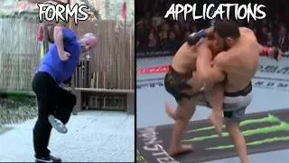 Shuai Jiao Shou Bo 36 Forms and Applications