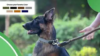 Adil's Cotton & Leather Dog Collar &ndash; Adjustable, Stylish & Comfy for All Dogs!