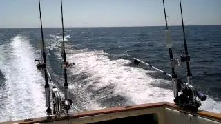 Sea Ray Amberjack 270 Running Back Into Milwaukee Harbor