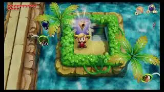The legend of Zelda Link's Awakening: Andrew faces the face shrine