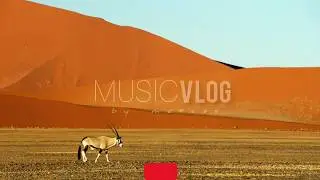 Anno Domini Beats: Awaken [MAXCEE MUSIC] (2020)