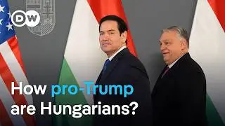 Rubio meets with pro-MAGA Hungarian leader Orban ahead of elections | DW News