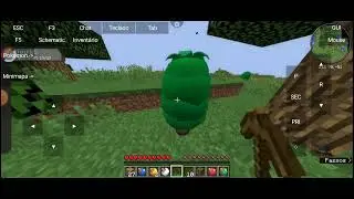 jogando menecrafiti part 1