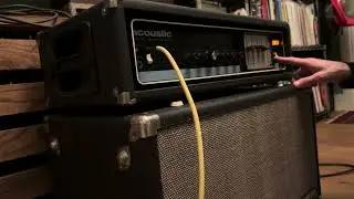 Acoustic Control Corporation Model 450 Bass Amp