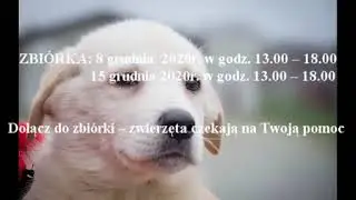 ŚWIĄTECZNA ZBI&Oacute;RKA KARMY dla Schroniska Zwierząt w Skałowie