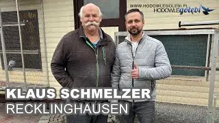 Klaus Schmelzer - super gołębie na aukcję.