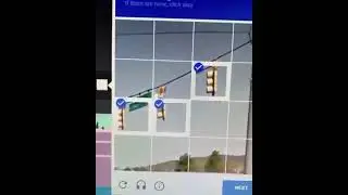 man loses his mind on captcha (meme)