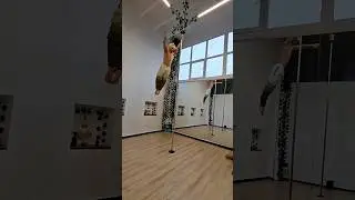 Let's fly #fitness #motivation #handstanding #polesport #pole #calisthenics #crazy #gymnast #gym