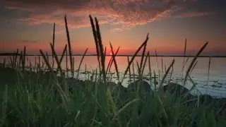 Nature promo for vimeo