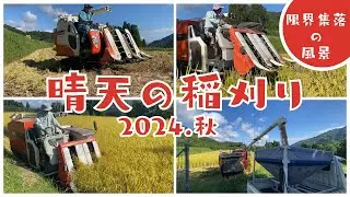 久しぶりの秋晴れに稲刈りが大忙し！実りの秋は素晴らしい