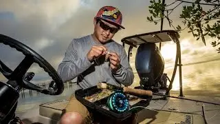 Pro Team Spotlight: Willy Le