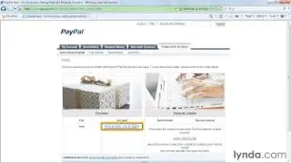 paypal fees