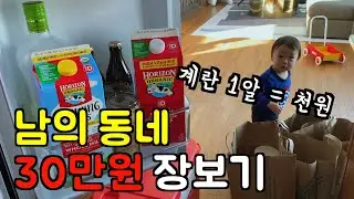 (물가 실화...) 미국 시골 브이로그 🇺🇸 남의 동네 30만원 장보고 대 충격.. l 돼지고기 비지찌개 우당탕탕 해먹고, 두부 많아서 매콤두부조림 해먹은 미국 일상