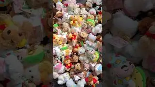Cutest Plush Keychains 🌷✨🎀#cute #kawaii #keychains #plushies #plush #shinchan