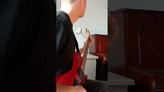 Rogulin - Hand (guitar playthrough)