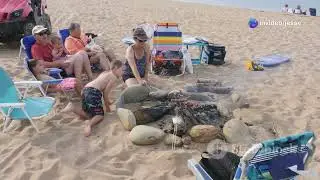 Mastering the Beach Campfire: A Complete Guide to Building the Perfect Fire