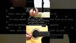 Tibok - Earl Agustin | Easy Guitar Chords Tutorial For Beginners #guitarlesson #shorts