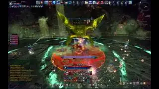 ✩ Tera ✩ DFNM Warrior Tank PoV