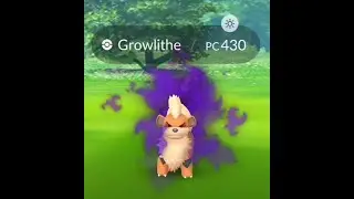 TEAM GO ROCKET SHADOW GROWLITHE PC 430