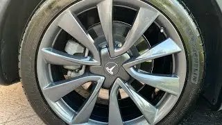 Tesla 20&rdquo; inch OEM Sport Performance Wheel (Model 3 Stilettos on Tesla Y - but which Tesla Y?)