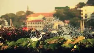 Longboarding: Thiago Nobre sliding in RIO