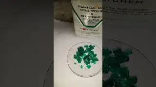 Nickel Nitrate // senior inter chemistry practical // Salt analysis