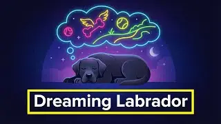 La ciencia detrás de los sueños de tu perro