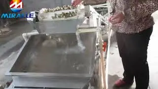 quail eggs peeling line