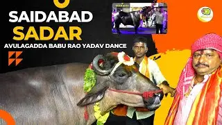 Saidabad Sadar Festival hyderabad | Avulagadda Babu Rao Yadav dance | Sadar bulls Sayyata Madannapet