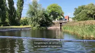 B&auml;ttre vattenkvalitet i Kyrkviken