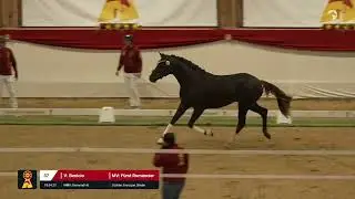 Lot 37 v. Benicio / Fürst Romancier