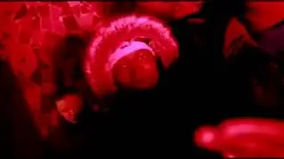 547 GANG - Dans La Zone
