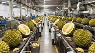 Inside a Massive Dried Durian Factory: Watch Durian Turn Into Supermarket Packs (Full Process)