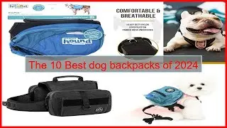 The 10 Best dog backpacks of 2024