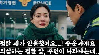 돈가방을 주워 경찰서에 갔더니 나를 의심하는 경찰, 그리고 나타난 돈가방의 주인이 날 보고 하는말